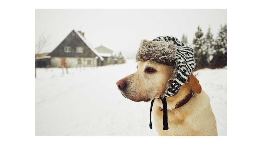 Дизель-генератор (ДГУ) исполнения УХЛ 1